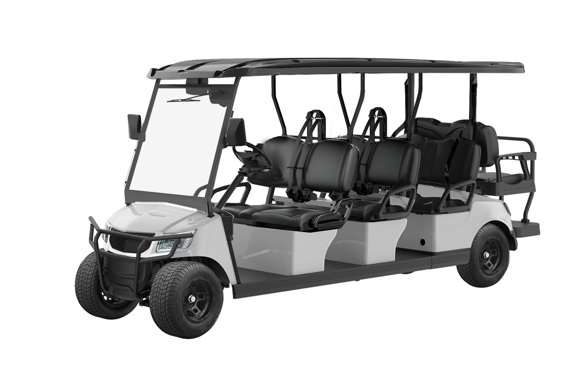 Passenger 6 + 2 Electric Cart